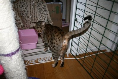 Magic on her way in to the baby-room