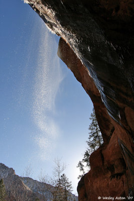 my morning shower