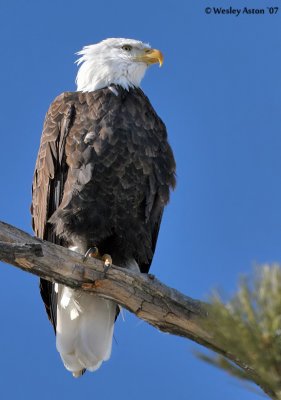 IMG_9316