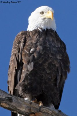 IMG_9319