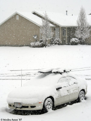 When will Spring get here?