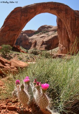 Rainbow Bridge