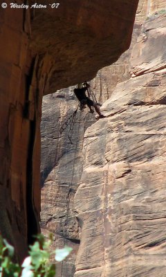 Zion Rock Climber