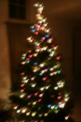 IMG_8631.JPG