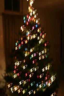 IMG_8632.JPG