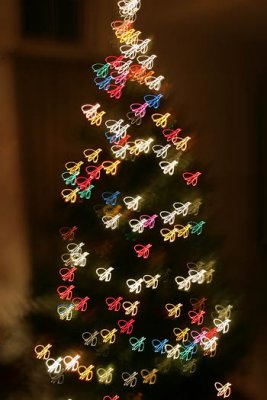 IMG_8634.JPG