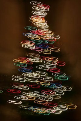 Christmas Tree - 2006