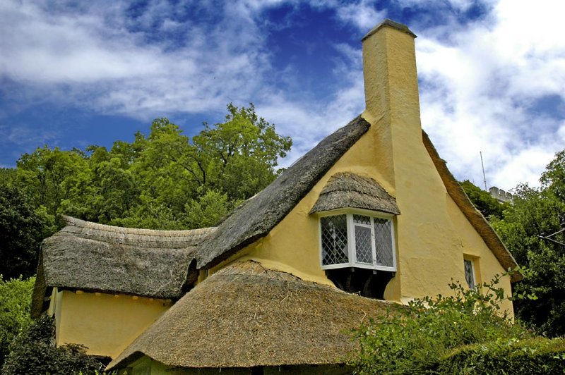 Selworthy cottage, Somerset (3725)
