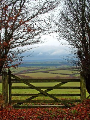 Gate and moorland
