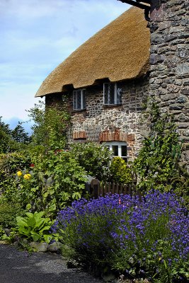 Thatch and flowers, Bossington