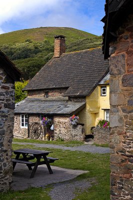 Bossington Falconry ~ yard