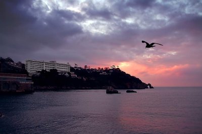 Torquay sunrise