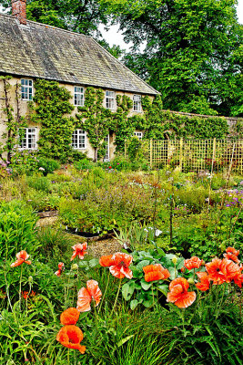Cottage garden, Forde Abbey