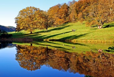 Bottom lake, Stourhead (4727)