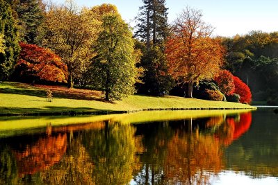 Autumn splendour, Stourhead (2151)