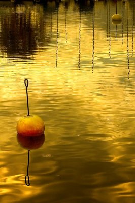 Golden bouys, Lac Leman