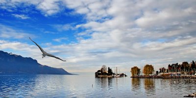 Heron and island, Montreux