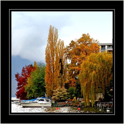 White boat and trees, Montreux
