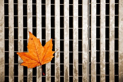 Grill and leaf, Montreux