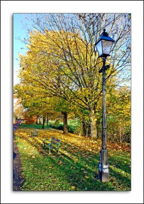 Lamp post and leaves, Wells