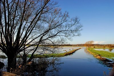 Flooding near Muchelney, Somerset