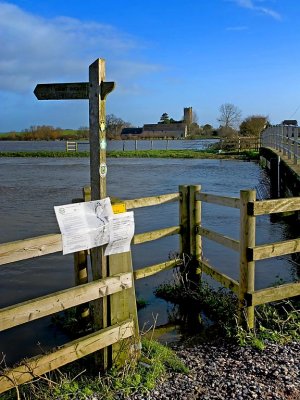 The River Parrett in flood