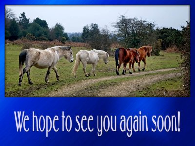 'See you again soon' slide from the New Forest series