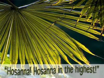 'Hosanna!' slide from the Abbotsbury Gardens series