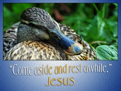 'Come aside and rest awhile' slide from the Hestercombe Gardens series