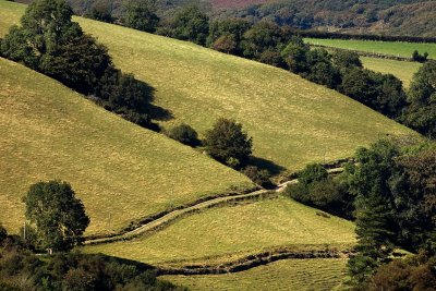 Slope, fields and lane, Exmoor