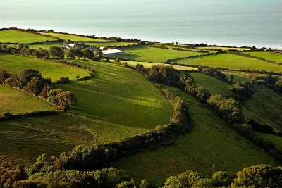 Farm from Porlock Hill, Somerset