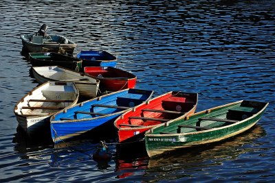 Rowing-boats, Totnes