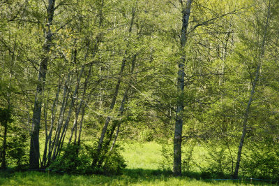 Paysage de Dordogne