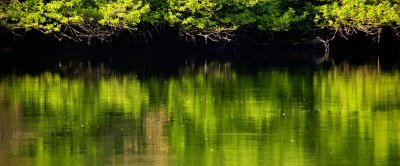 La dordogne a Cenac