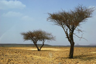 The desert of the nomads