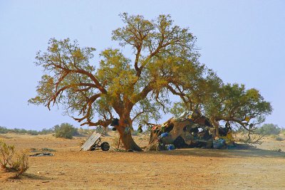 The desert of the nomads