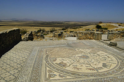 volubilis