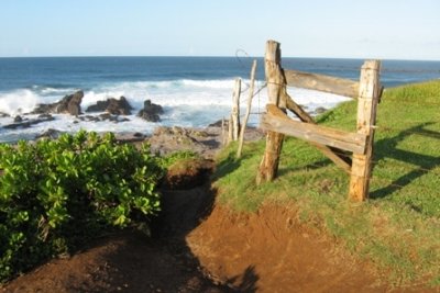 Fence by Ocean