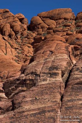 Red Rock Canyon - Las Vegas