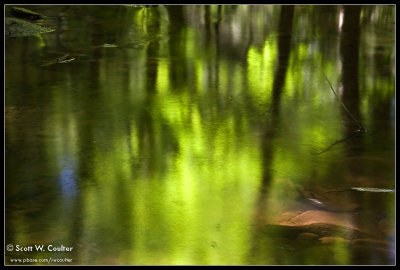 Reflections in the creek