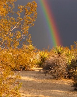 Mojave Rainbow