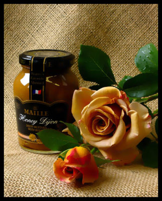 Honey Dijon rose