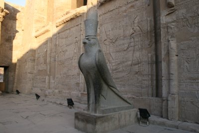 Le dieu faucon Horus
