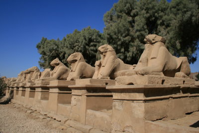 L'Alle des Sphinx Bliers au Temple de Karnak