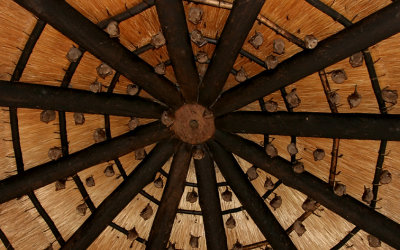 Skukuza restaurant pavilion ceiling with roosting Peter's Epauletted Fruit Bats (#2 of 2)