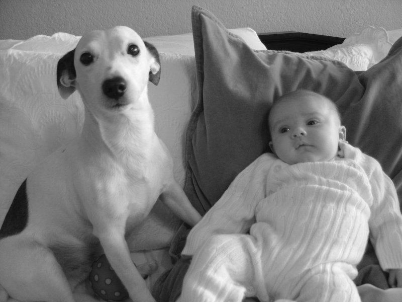 friends?...