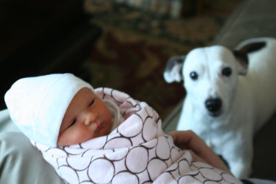 Pals to be