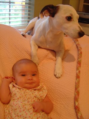 is my doggie a cat?