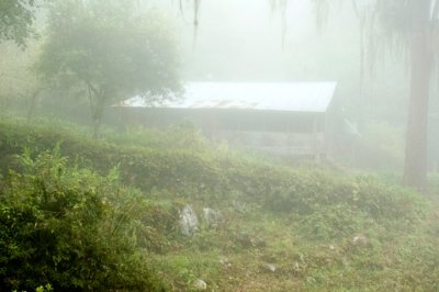 Cabin in the Fog