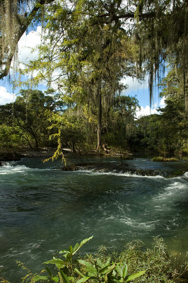 Rio Sabinas